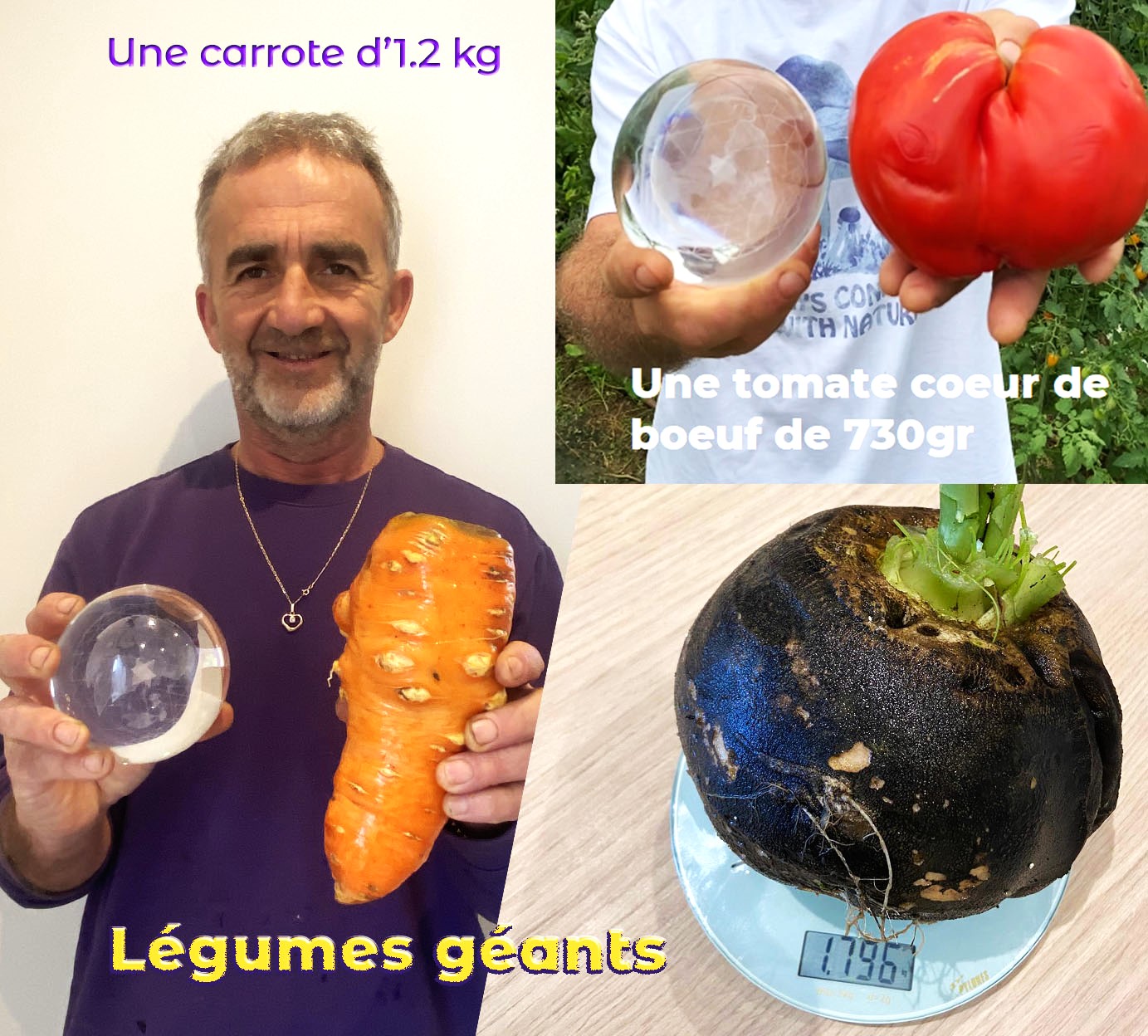 centre de bien-être dynamisé avec la Terre Diamant