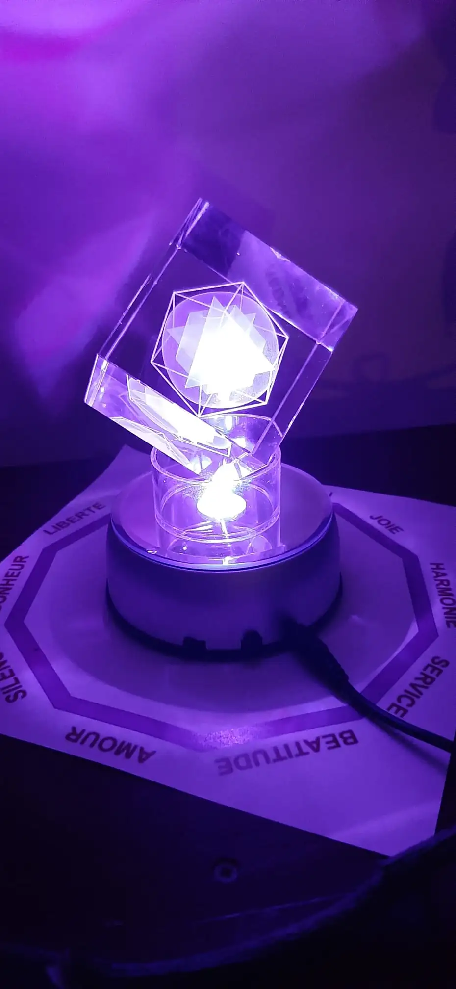 META GENESIS amplifiée